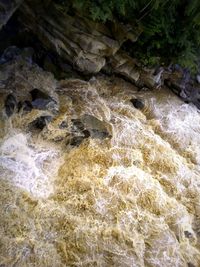 High angle view of rocks in water