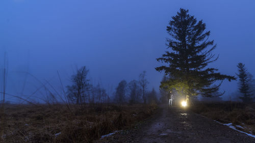 Road amidst trees against clear sky at night