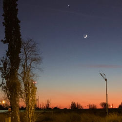 Scenic view of silhouette trees against sky at night