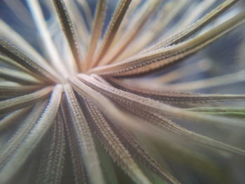 Full frame shot of white surface