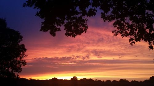 Silhouette of trees against sky at sunset