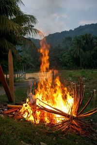 Bonfire on land against trees and mountains