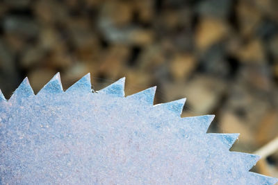 Close up of sawblade