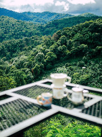 High angle view of trees and plants