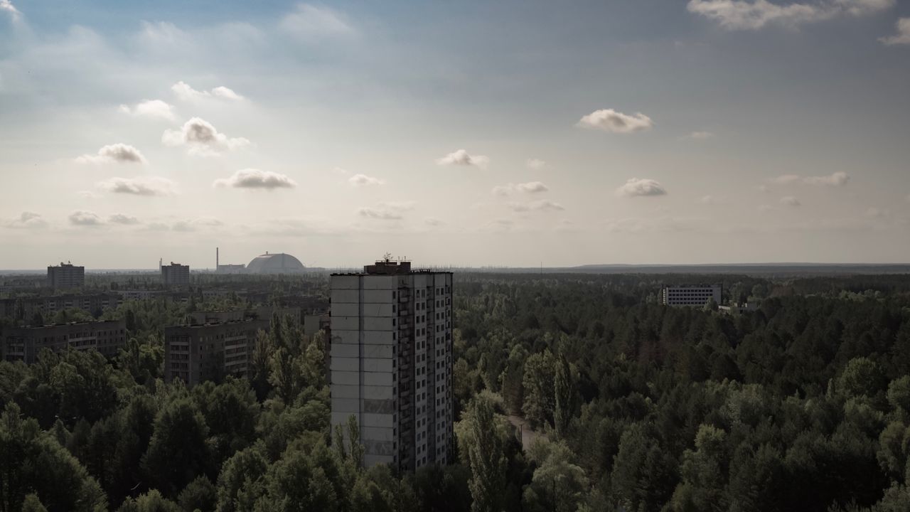 HIGH ANGLE VIEW OF TREES AGAINST SKY