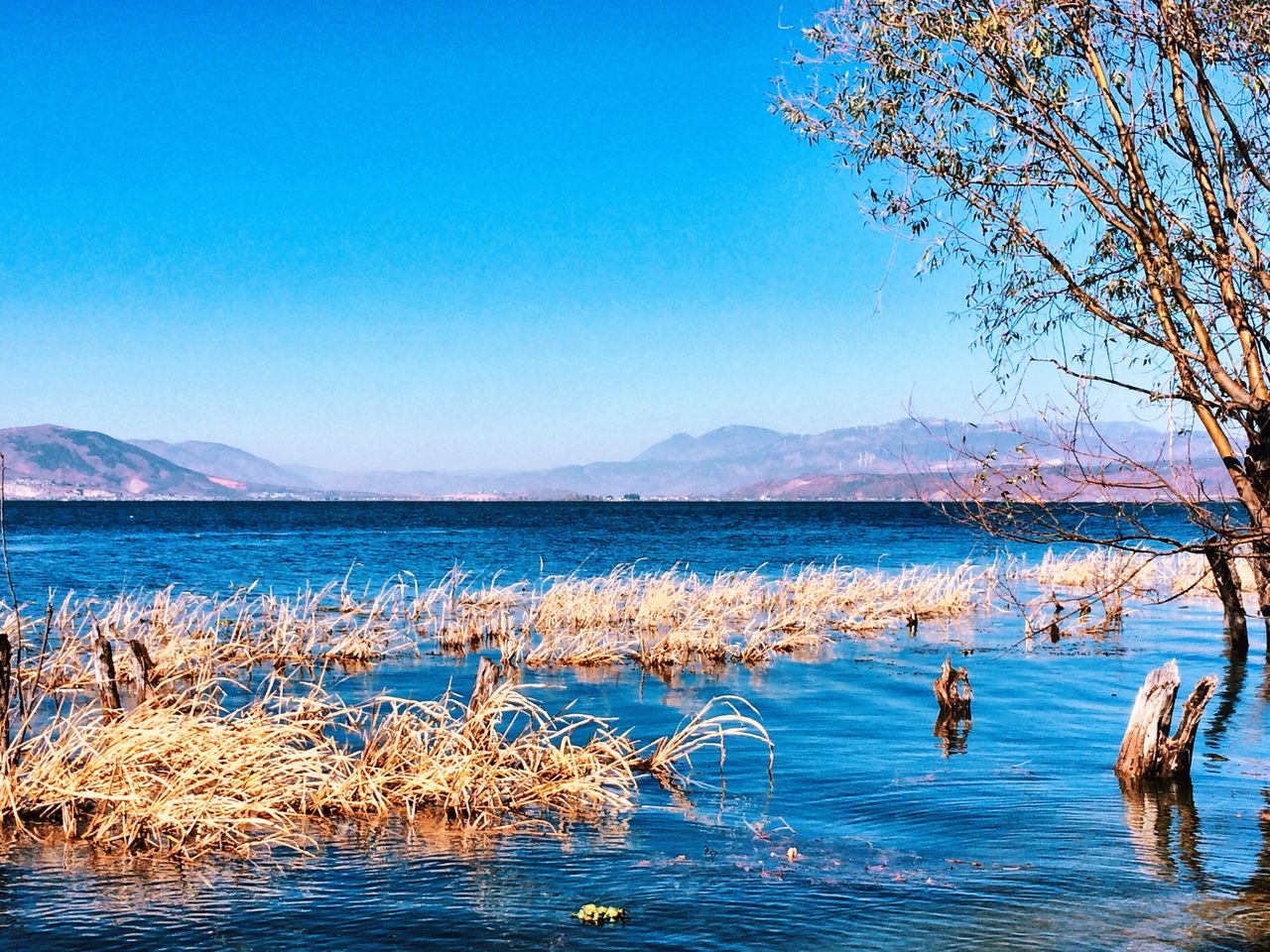 water, blue, mountain, tranquil scene, tranquility, scenics, clear sky, beauty in nature, mountain range, lake, nature, copy space, idyllic, waterfront, day, non-urban scene, sea, landscape, outdoors, remote