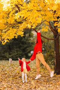 Happy mom and child are walking and having fun playing with autumn leaves in the fall park outdoors