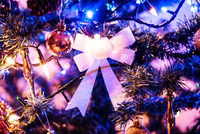 Close-up of illuminated christmas tree at night