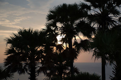 Silhouette palm trees against sky during sunset