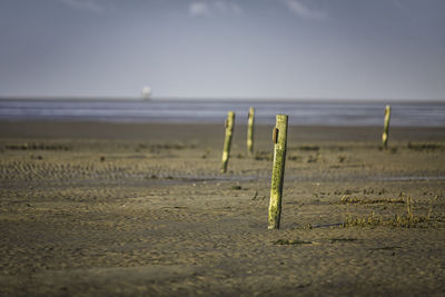 Wooden posts on beach against sky