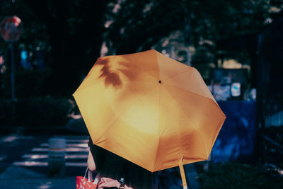 Close-up of person holding umbrella