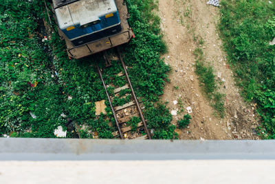 High angle view of plants growing on field