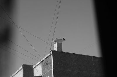 Low angle view of birds on building against sky