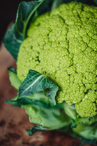 High angle view of leaf