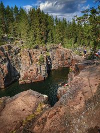 Plants growing on rocks by river against sky