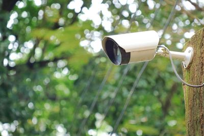 Cctv security camera at public street in the city with green leaves background. technology concept.