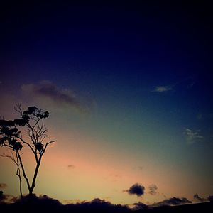 Low angle view of silhouette trees against romantic sky