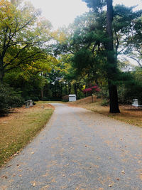 Road amidst trees in park against sky