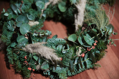 High angle view of potted plants