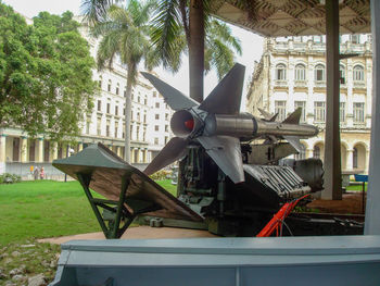 Horse cart on street amidst palm trees