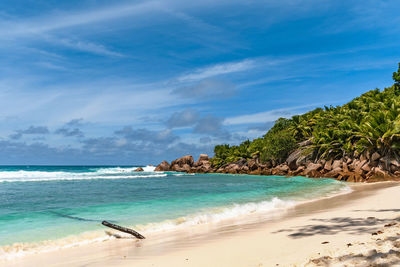 Idyllic tropical beach with sea waves and palm trees on sunny day in summer.