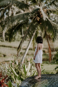 Rear view of young woman standing against palm trees