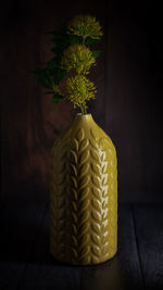 Close-up of potted plant on table