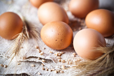 High angle view of eggs on table