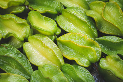 Full frame shot of green leaves