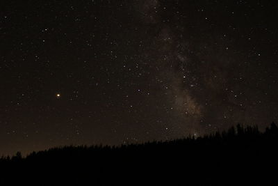 Low angle view of silhouette trees against star field at night