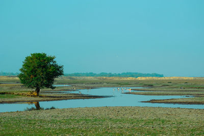 Scenic view of lake against clear sky