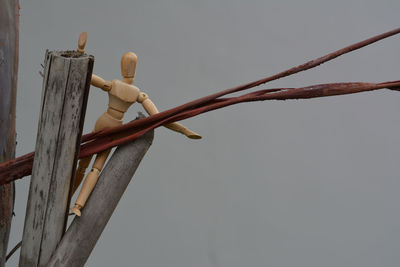 Low angle view of chain tied up on branch