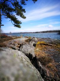 Close-up of rock on beach against sky