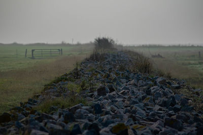 Surface level of land against clear sky