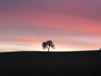 Silhouette tree on field against sky at sunset