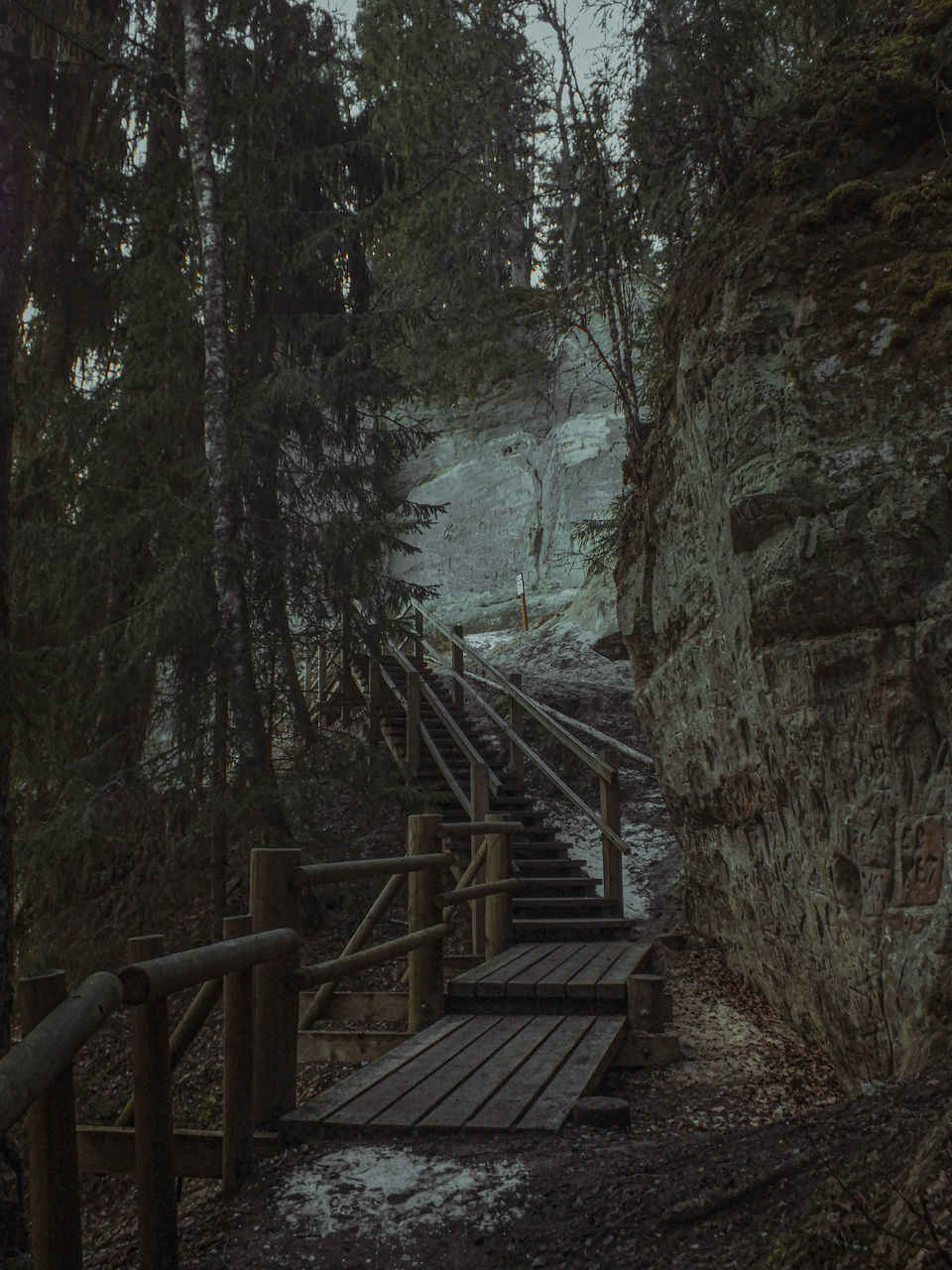 STAIRCASE LEADING TOWARDS FOREST