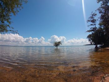 Scenic view of sea against sky