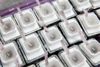 Embedded tissues in paraffin blocks for sectioning. pathology laboratory. cancer diagnosis.