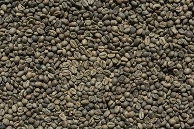 Close-up of raw coffee beans