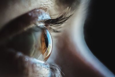 Close-up of human eye