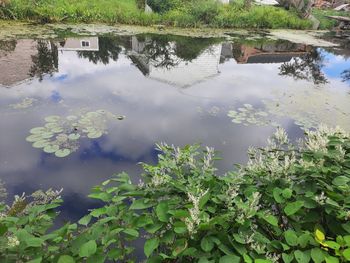 Scenic view of lake