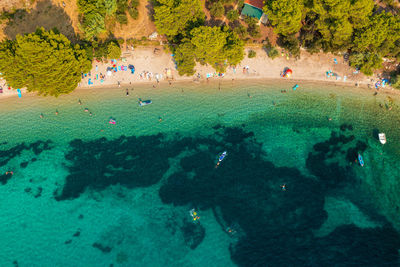 Group of people on the beach