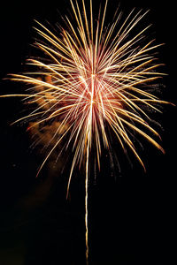 Low angle view of fireworks against sky at night