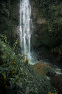 Scenic view of waterfall