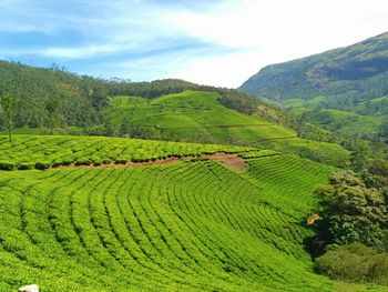 Scenic view of field against cloudy sky