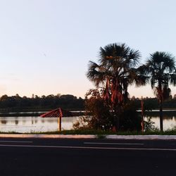 Palm trees by road against sky during sunset