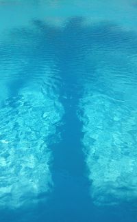 Reflection of trees in water