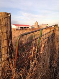 Close-up of plants against sky
