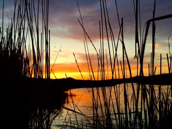 Scenic view of lake during sunset