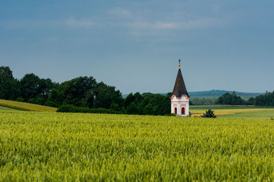 Scenic view of agricultural field against sky
